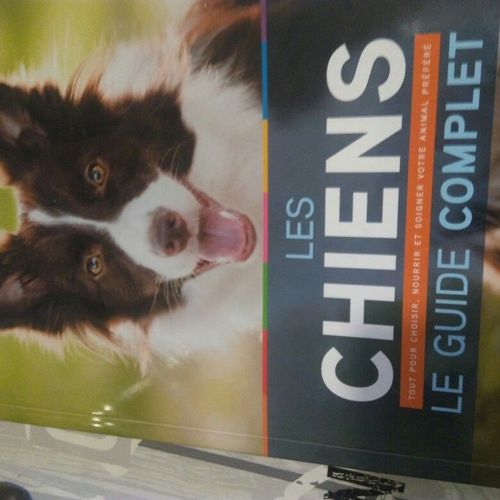 Livres Les Chiens Le Guide Complet
