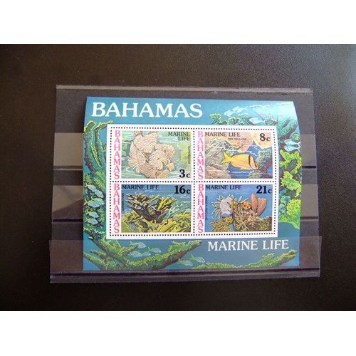 Bahamas 1977 Vida Marina Marine Life Vie Marine Yvert Nº Block 20 ** Sg Nº Ms 497 Mnh 