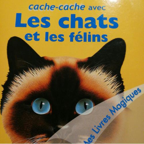Cache Cache Avec Les Chats Et Les Felins