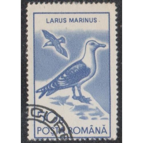 Timbre De Roumanie N°3921 Y&t 50 B. Bleu Faune Oiseaux Larus Marinus