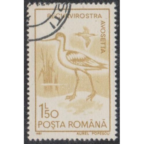 Timbre De Roumanie N°3923 Y&t 1,50 L. Bistre Jaune Faune Oiseaux Recurvirostra Avosetta
