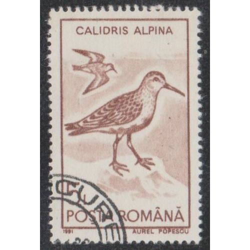 Timbre De Roumanie N°3928 Y&t 5 L. Brun-Rouge Faune Oiseaux Calidris Alpina