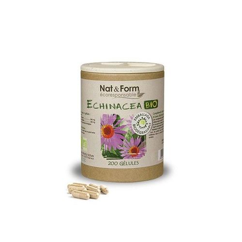 Nat & Form Ecoresponsable Echinacée Bio 