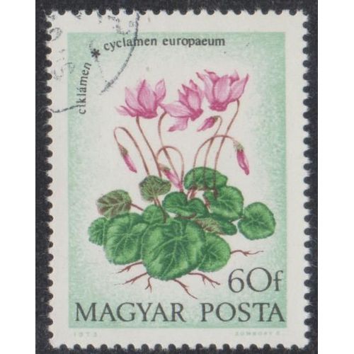 Timbre De Hongrie N°2323 Y&t 60 Fi. Polychrome Fleurs Sujets Divers Cyclamen