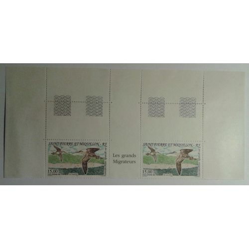 Bloc 2 Timbres Saint Pierre Et Miquelon 1996 Poste Aérienne N°75 "Les Grands Migrateurs" Le Courlis Haut De Feuille Neuf** Gomme Intacte