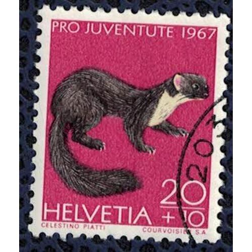 Suisse 1967 Oblitéré Rond Used Animaux Martes Martes Marte Des Pins