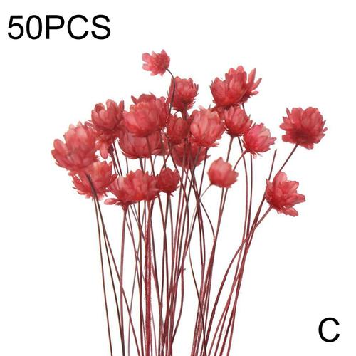 rouge vif 50 pieces Mini fleurs sechees artisanales de marguerites50 piecespetit Bouquet de fleurs decoratif