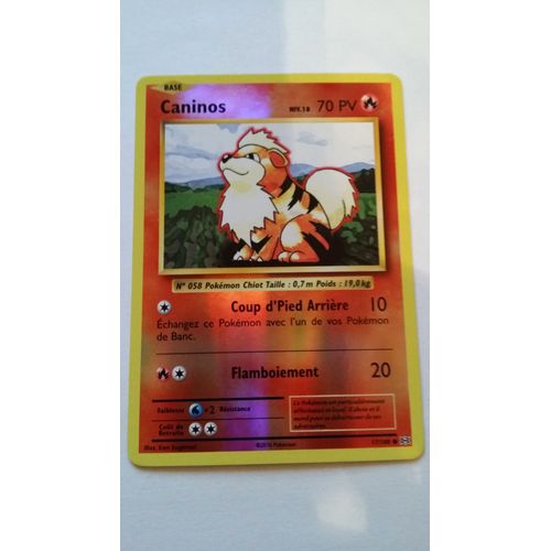 Caninos Reverse 17/108 Série Evolutions Carte Pokemon Francaise