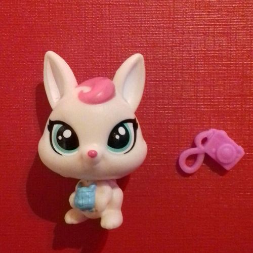 Petshop Kangourou Nn 279 Keela Kipster 
