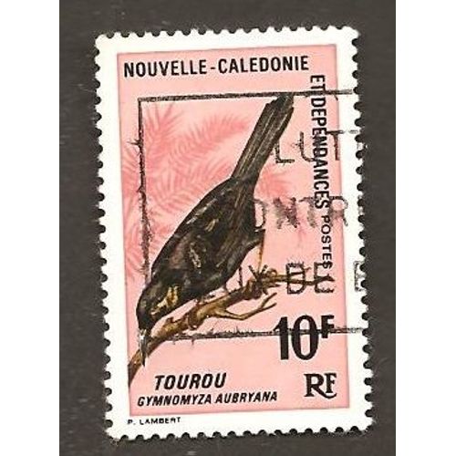 Oiseaux
