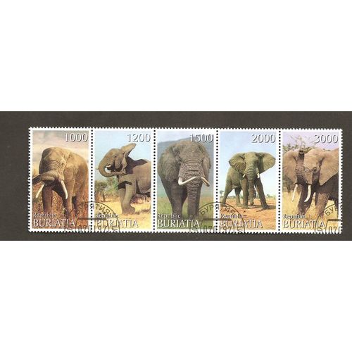Eléphant