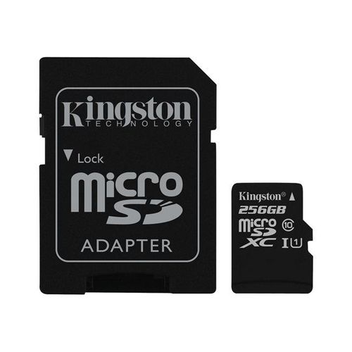 Kingston - Carte mémoire flash (adaptateur microSDXC vers SD inclus(e)) - 256 Go - UHS Class 1 / Class10 - microSDXC UHS-I