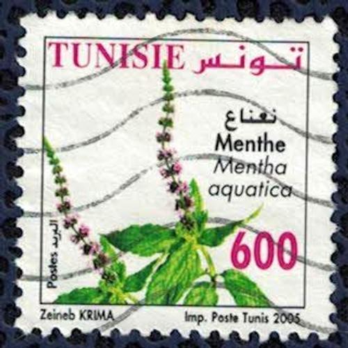 Tunisie 2005 Oblitéré Used Plantes Médicinales Menthe Aquatique