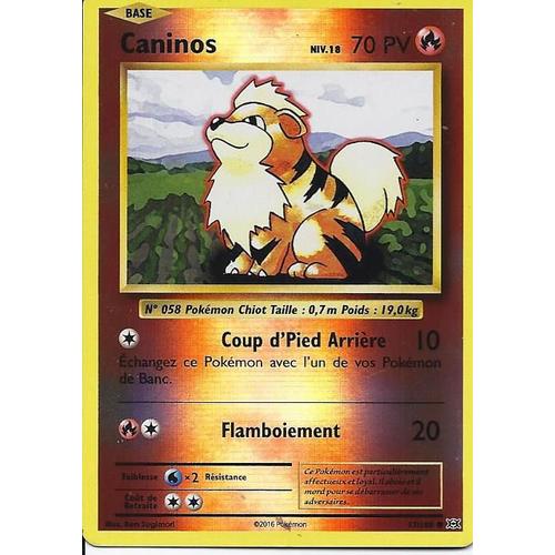 Carte Holo Reverse Caninos 17/108 - Xy Evolutions