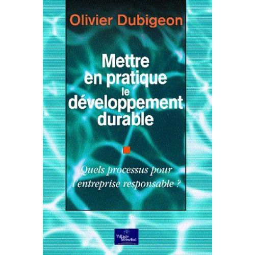 Mettre En Pratique Le Développement Durable: Quel Processus Pour L'entreprise Responsable ?