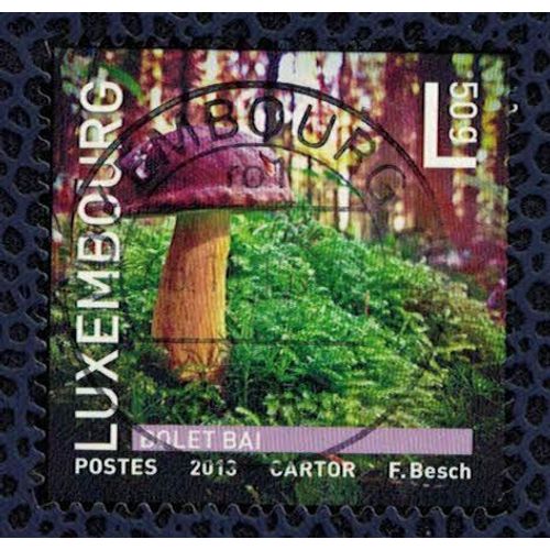 Luxembourg 2013 Oblitéré Used Champignon Xerocomus Badius Boletus Badius Bolet Bai