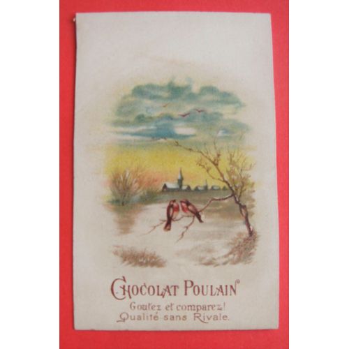 Chromo Ancien Oiseaux Publicité Chocolat Poulain 