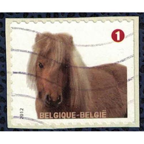 Belgique 2012 Oblitéré Used Cheval Poney Equus Ferus Caballus Sur Fragment