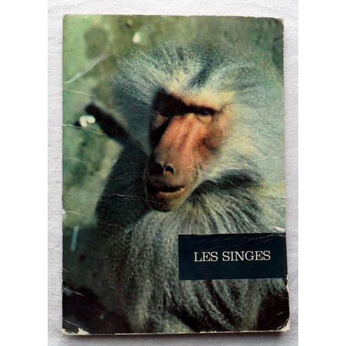 🐒🐒🐒 . . Les Singes . . 🐵🐵🐵