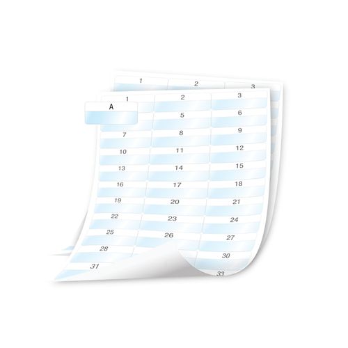 DYMO XTL Laminated - Étiquettes adhésives permanentes en polyester - blanc sur transparent - 54 x 23 mm 1008 étiquette(s) ( 28 feuille(s) x 36 )