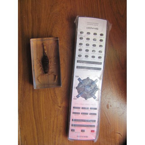 Télécommande Sharp RRMCG0278AWSA