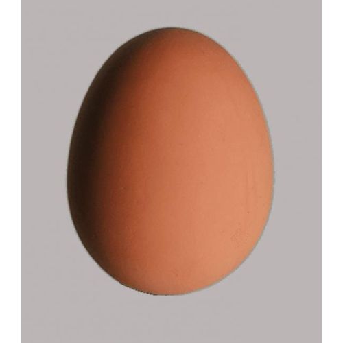 Faux Oeuf