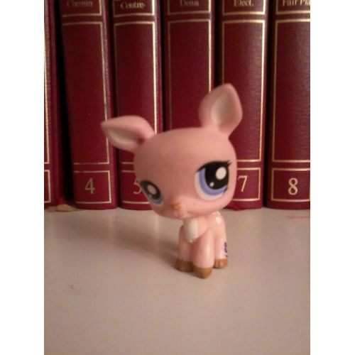 Petshop Faon 1414