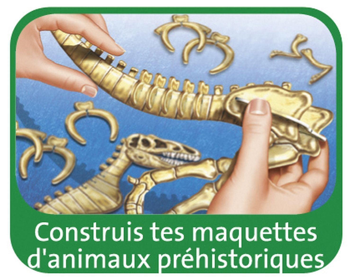 ARTISTIQUE Maxi-Triops et Dinosaures_image_2|Rakuten