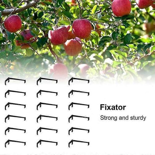 10pcs Branches DArbres Fruitiers Support Fruit Branch Spreader Tree Branch Support Frame Hfmqv