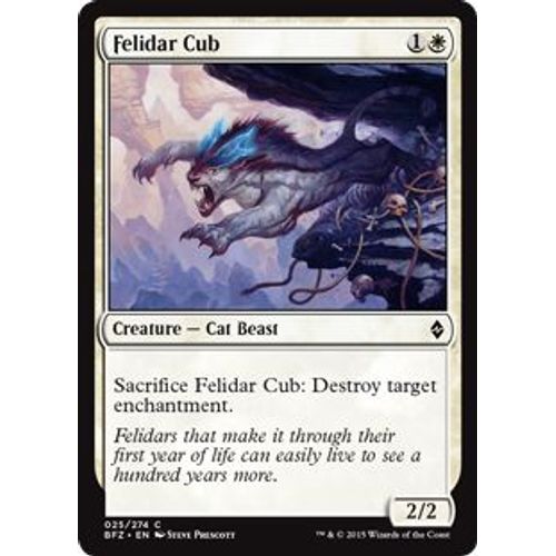 Foil Jeune Félidar - La Bataille De Zendikar - C - 25/274 