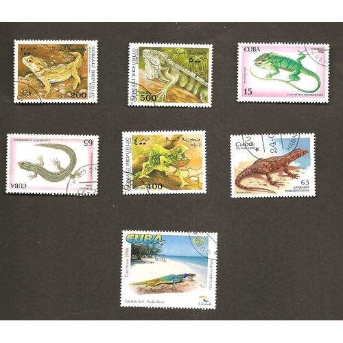 Reptiles