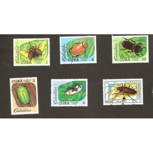 Insectes