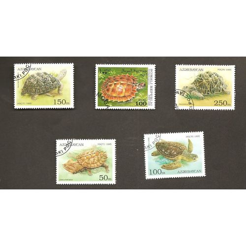 Tortues