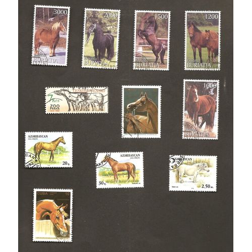 Chevaux