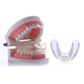 Yarui-World® Adulte Dent Care Transparent Orthodontique Appareil Entraîneur  Alignement Dentaire Bretelles Becs Dur