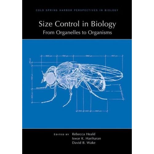 Size Control In Biology