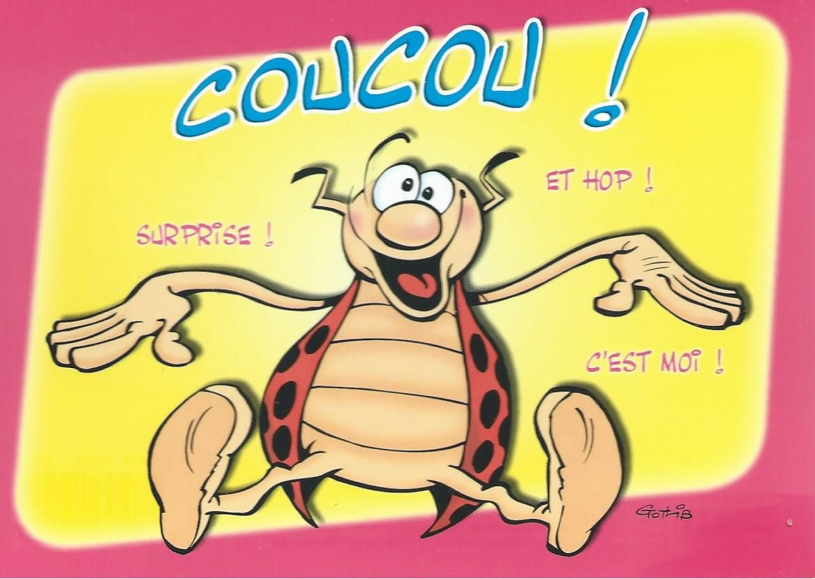 CARTE POSTALE MODERNE la coccinelle de gotlib dargaud 2010