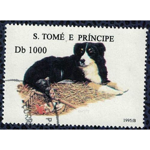 S. Tomé Et Principe 1995 Oblitéré Rond Chien Bernese Mountain Bouvier Bernois Su