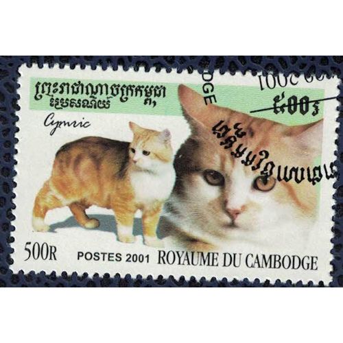 Cambodge 2001 Oblitéré Used Chat Felis Silvestris Catus Chat Domestique Su