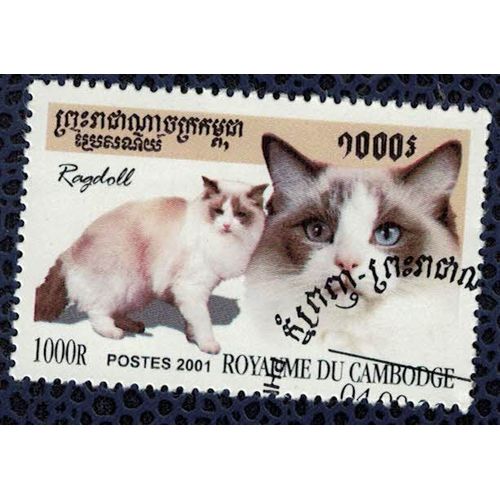 Cambodge 2001 Oblitéré Used Cat Chat Domestique Ragdoll Su