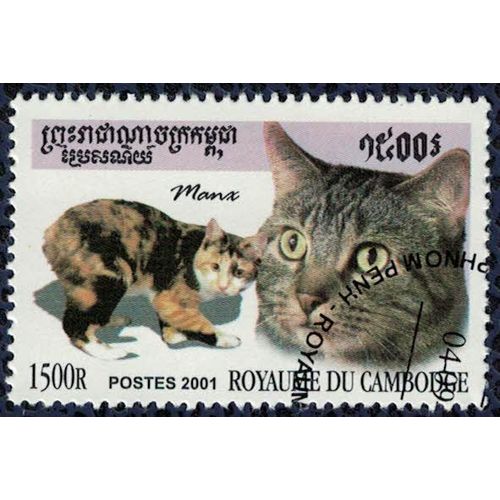 Cambodge 2001 Oblitéré Used Cat Chat Manx Absence De Queue Su