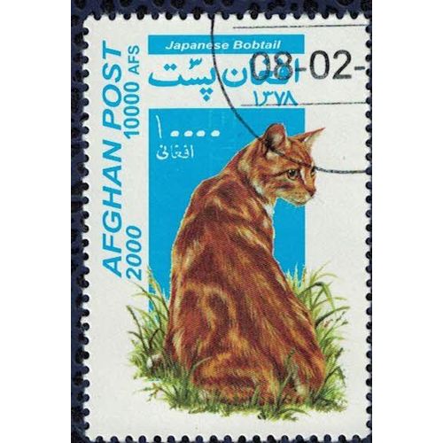 Afghanistan 2000 Oblitéré Rond Used Cat Chat Bobtail Japonais Su