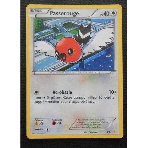 Passerouge 16/30 -Trainer Kit - Pikachu Catcheur 2016 - Vf