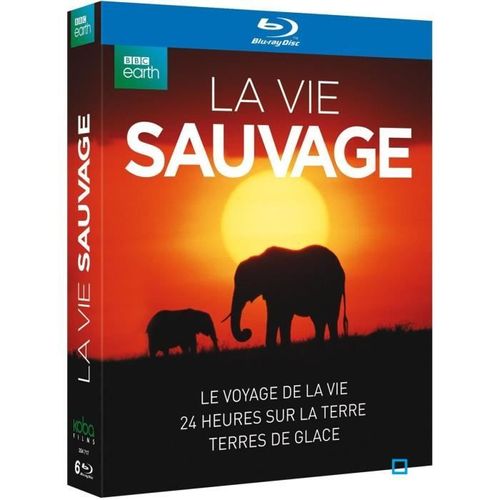 Coffret La Vie Sauvage : Le Voyage De La Vie + 24 Heures Sur La Terre + Terres De Glace - Pack - Blu-Ray