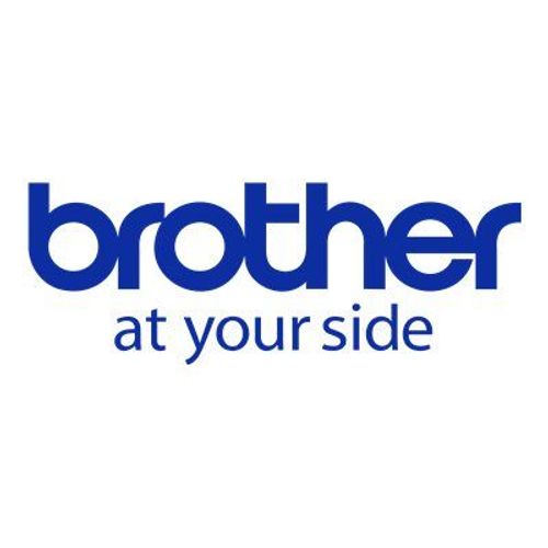 Brother TC 104 - Ruban laminé - 12 mm x or sur clair - - pour P-Touch PT-2000, PT-3000, PT-500, PT-5000, PT-8E