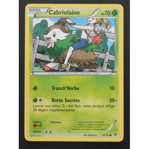 Pokémon - 16/162 - Cabriolaine - Xy - Impulsion Turbo - Commune