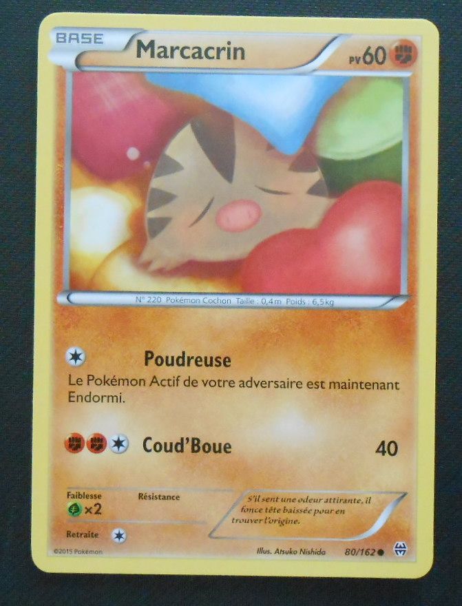 Pokémon - 80/162 - Marcacrin - Xy - Impulsion Turbo - Commune