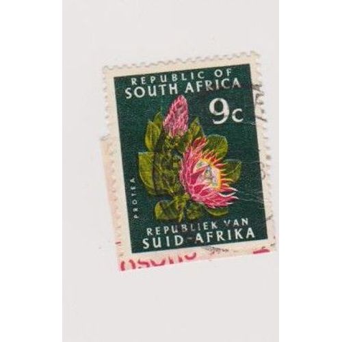 Timbre Afrique Du Sud South Africa 9c Fleur Protea Oblitéré