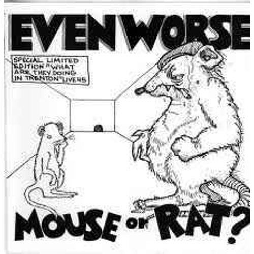 Mouse Or Rat? 
