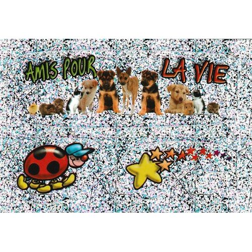 Hors Collection N°76 - Stickers Image Panini - Album Amici Cucciolotti - Nos P'tits Animaux ( 2015 )